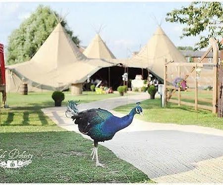 Skipbridge Farm Shepherds Huts Campground Green Hammerton Dış mekan fotoğraf