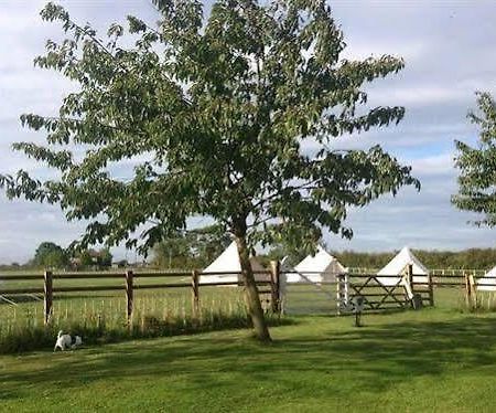 Skipbridge Farm Shepherds Huts Campground Green Hammerton Dış mekan fotoğraf