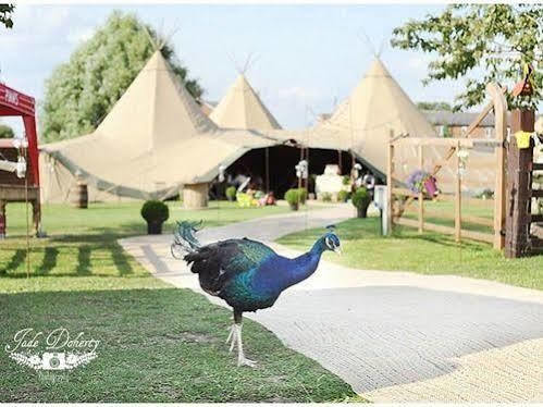 Skipbridge Farm Shepherds Huts Campground Green Hammerton Dış mekan fotoğraf