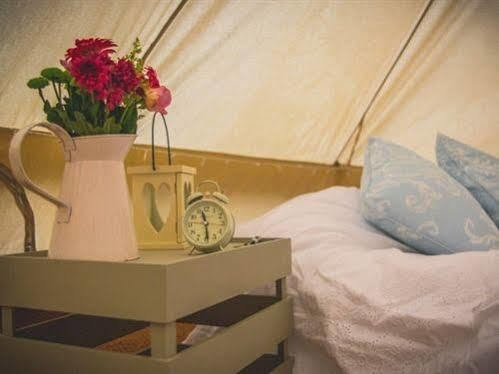 Skipbridge Farm Shepherds Huts Campground Green Hammerton Dış mekan fotoğraf