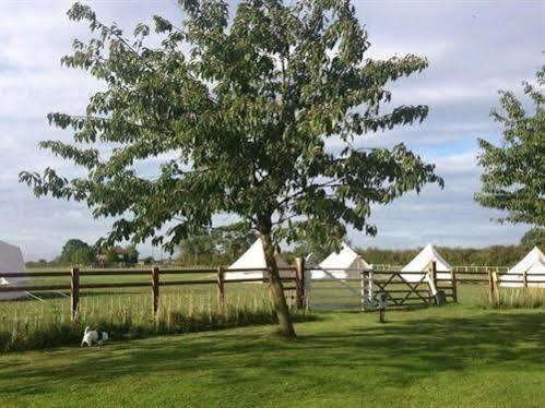 Skipbridge Farm Shepherds Huts Campground Green Hammerton Dış mekan fotoğraf
